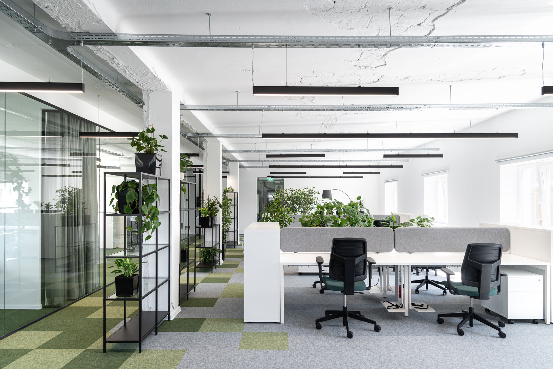 Ten verdant office interiors filled with trees and plants